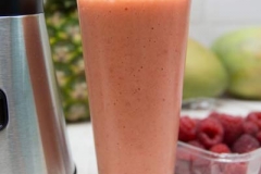 Früchte-Smoothie-AEG-Mixer