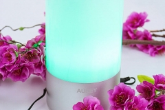 Farbwechsel-Lampe-Aukey-Grün