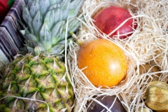 Hansen-Obst-Ananas-und-mehr
