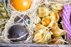 Hansen-Obst-Karibik-Obst
