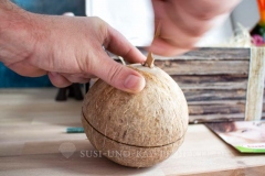 Hansen-Obst-Trink-Kokosnuss