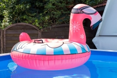 Snow-Tube-Flamingo