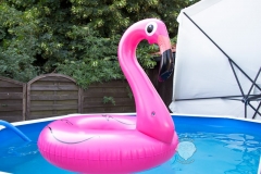 Sommer-Gummitier-Flamingo-Wasserspielzeug