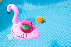 pelikan-mit-cocktail-wasser-spaß