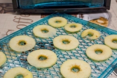 Klarstein-Dörrautomat-obst