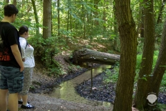 Klostermühle-Heiligenberg-Wald