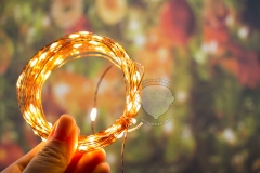 Lichterketten-Warmweiß-Aukey