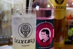 Luxury-Liqueur-Drink-Wild-Berry