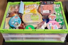 relaxdays-Transportbox-grün