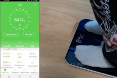 RENPHO-Gesundheit-Körperanalyse-App-Auswertung