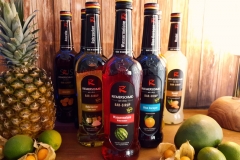 Riemerschmid-Sirup-für-Cocktails-Melone