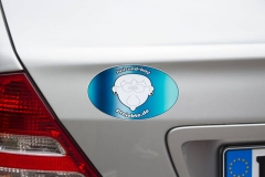 Magnet-für-das-Auto-drucken