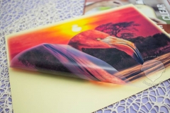 skullpaper-Aufkleber-folie-bedruckt-flamingo-drucken