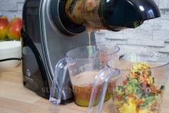 Früchte-Entsafter-Slow-Juicer-Nutrilovers