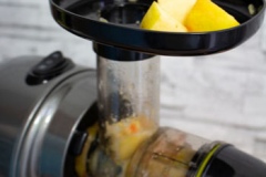 Obstpresse-Slow-Juicer-Nutrilovers