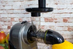 Slow-Juicer-Green-Press