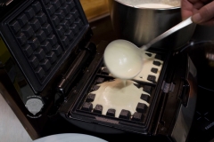 Tefal-Waffeleisen-Test