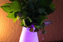 Aukey-Vasen-Lampe-mit-Fernbedienung