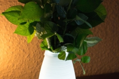 Aukey-Weiße-Lampe-mit-Fernbedienung