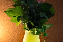 Lampe-im-Test-Fernbedienung